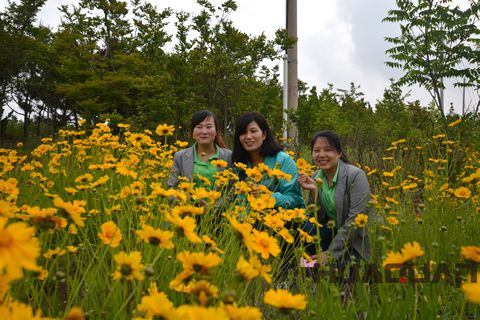 大乳山游記之一： 長江路，讓心情在這里“撒歡撂跤”