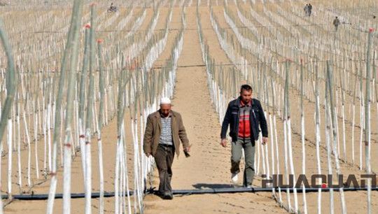 1000kw華全玉柴靜音發(fā)電機組發(fā)往新疆