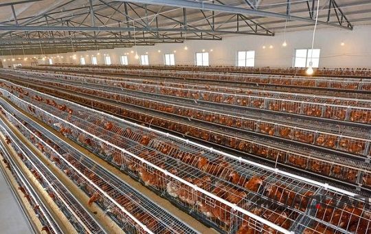 迎風(fēng)而上冒雨前行，華全發(fā)電機(jī)組用實(shí)際行動(dòng)助力南京抵御臺風(fēng)侵襲